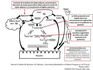 Barrett H, Dekker M, McIntyre D, Callaway L. Normalizing Metabolism in Diabetic Pregnancy: Is ItTime to
Target Lipids?.
Diabetes Care 2014;37:1484–1493
Aumento de la lipólisis del tejido adiposo, aumentando la
liberación de ácidos grasos libres (AGL) y glicerol a partir de
tejido adiposo y su transferencia al hígado y placenta.
La VLDL producida en el
hígado tiene una
concentración de triglicéridos
mayor que en la población no
gestante
Actividad CETP
transfiere triglicéridos
de VLDL a LDL y HDL.
(aumenta en la
gestacion)
LECITIN-COLESTEROL-ACIL
TRANSFERASA (LCAT): Esterifica el
colesterol libre extracelular,
trasportado por las HDL, antes de ser
llevado al hígado para su catabolismo
(vía clásica del transporte reverso del
colesterol)
 
