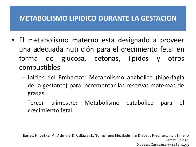 Dislipidemia Y Embarazo