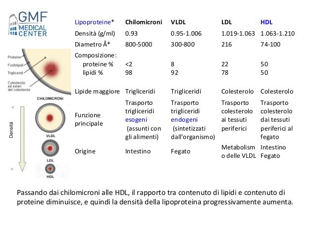 Dislipidemie Epidemiologia E Eziologia