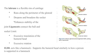 MBBS ORTHOPAEDICS Dislocation of Joints.pptx