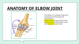 ANATOMY OF ELBOW JOINT
The elbow is a complex hinge joint
composed of three separate
articulations:
ulnohumeral (large purple circle),
radiohumeral (small purple circle),
and radioulnar (red circle).
 