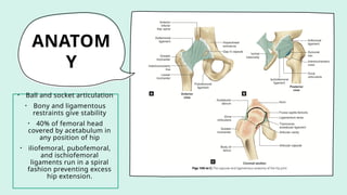ANATOM
Y
• Ball and socket articulation
• Bony and ligamentous
restraints give stability
• 40% of femoral head
covered by acetabulum in
any position of hip
• iliofemoral, pubofemoral,
and ischiofemoral
ligaments run in a spiral
fashion preventing excess
hip extension.
 
