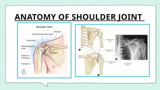 ANATOMY OF SHOULDER JOINT
 