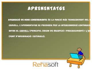 APRENENTATGE

Adquisició de nous coneixements: és la funció més transcendent del no

cervell. L’aprenentatge es produeix per la interconnexió continuada

entre el cervell (principal òrgan de recepció i processament) i l’ento

(font d’informació i estímuls).
 