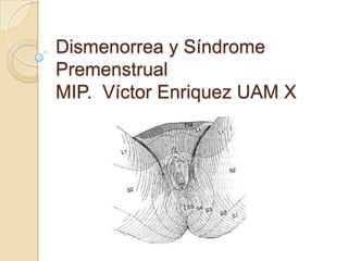 Dismenorrea y Síndrome
Premenstrual
MIP. Víctor Enriquez UAM X
 