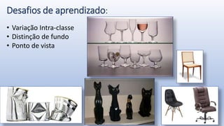 Desafios de aprendizado:
• Variação Intra-classe
• Distinção de fundo
• Ponto de vista
 
