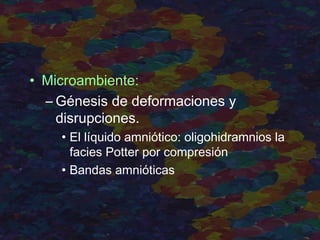 • Microambiente:
– Génesis de deformaciones y
disrupciones.
• El líquido amniótico: oligohidramnios la
facies Potter por compresión
• Bandas amnióticas
 