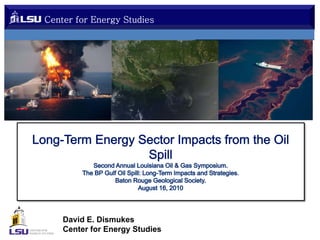 Center for Energy Studies

David E. Dismukes
Center for Energy Studies

 