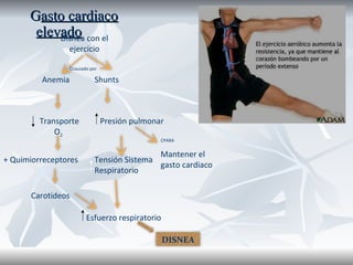G asto cardiaco elevado   Anemia Shunts Transporte O 2   Presión pulmonar Disnea con el ejercicio Tensión Sistema Respiratorio Ccausado por Mantener el gasto cardiaco CPARA + Quimiorreceptores Carotideos Esfuerzo respiratorio DISNEA 