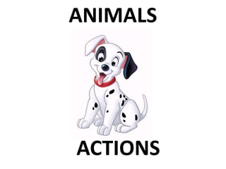 ANIMALS
ACTIONS
 