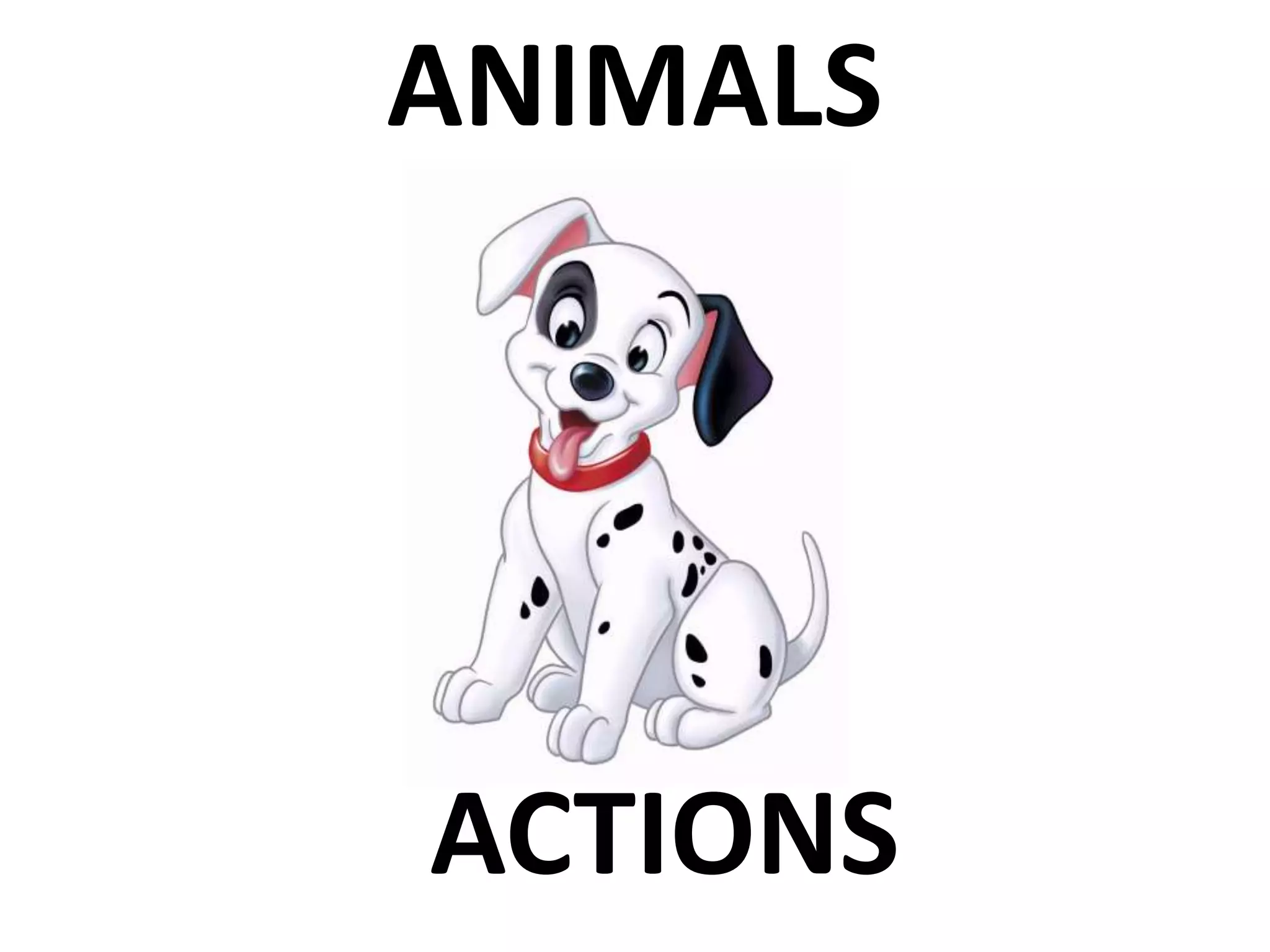ANIMALS
ACTIONS