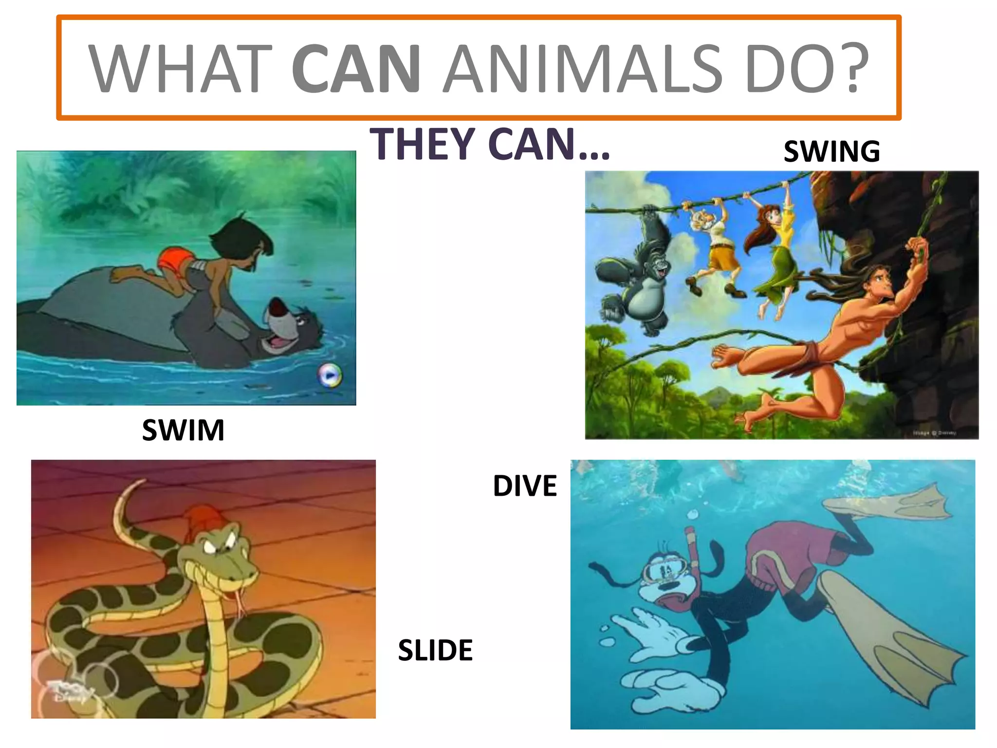 WHAT CAN ANIMALS DO?
THEY CAN…
SWIM
SLIDE
SWING
DIVE
