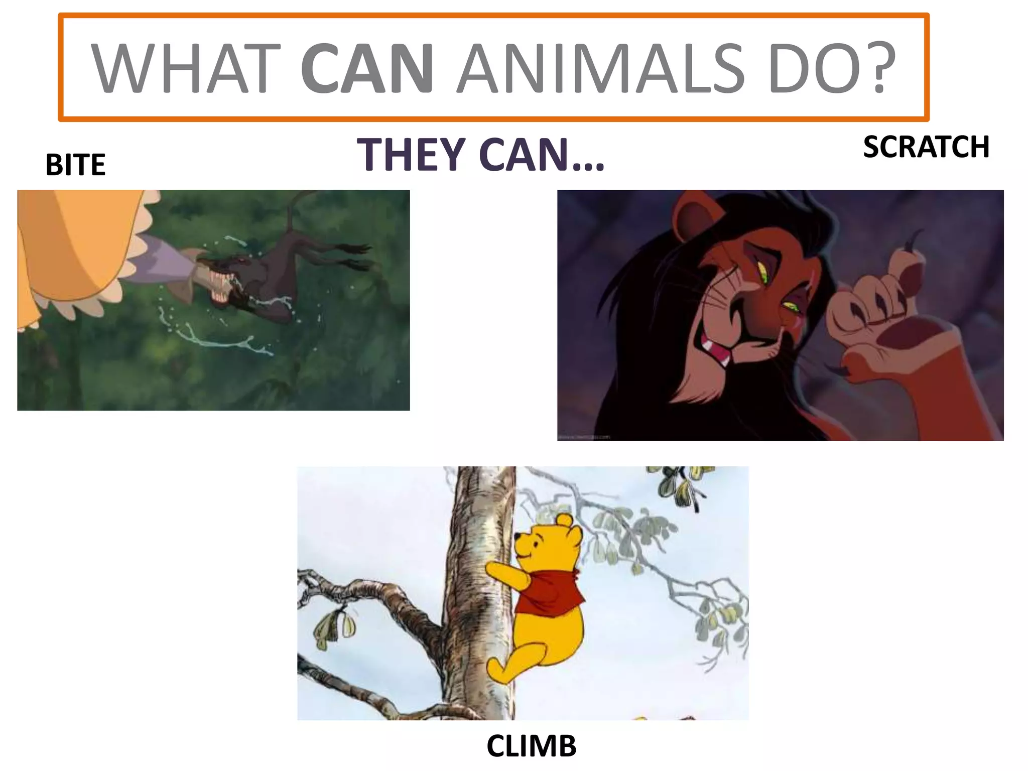 WHAT CAN ANIMALS DO?
THEY CAN… SCRATCH
CLIMB
BITE