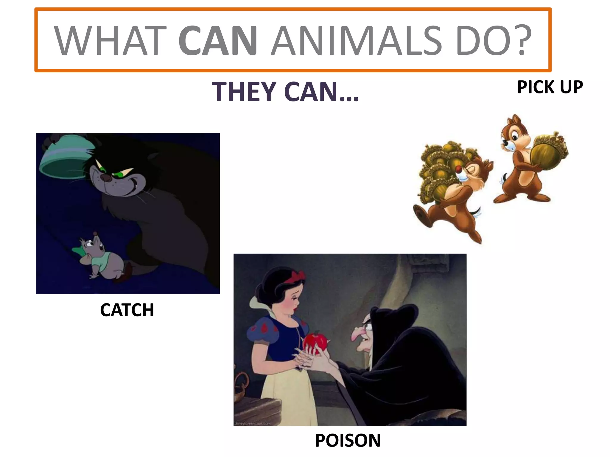 WHAT CAN ANIMALS DO?
THEY CAN… PICK UP
CATCH
POISON