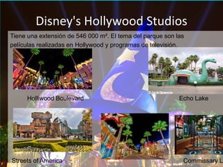 Disney's Hollywood Studios
Tiene una extensión de 546 000 m². El tema del parque son las
películas realizadas en Hollywood y programas de televisión.
Holliwood Boulevard Echo Lake
Streets of America Commissary La
 