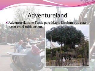 AdventurelandAdventureland es l'únicparcMagicKindom que esta basat en el mitjaorient.