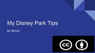 My Disney Park Tips
By Steven
 