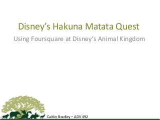Disney’s Hakuna Matata Quest
Using Foursquare at Disney’s Animal Kingdom
Caitlin Bradley – ADV 492
 