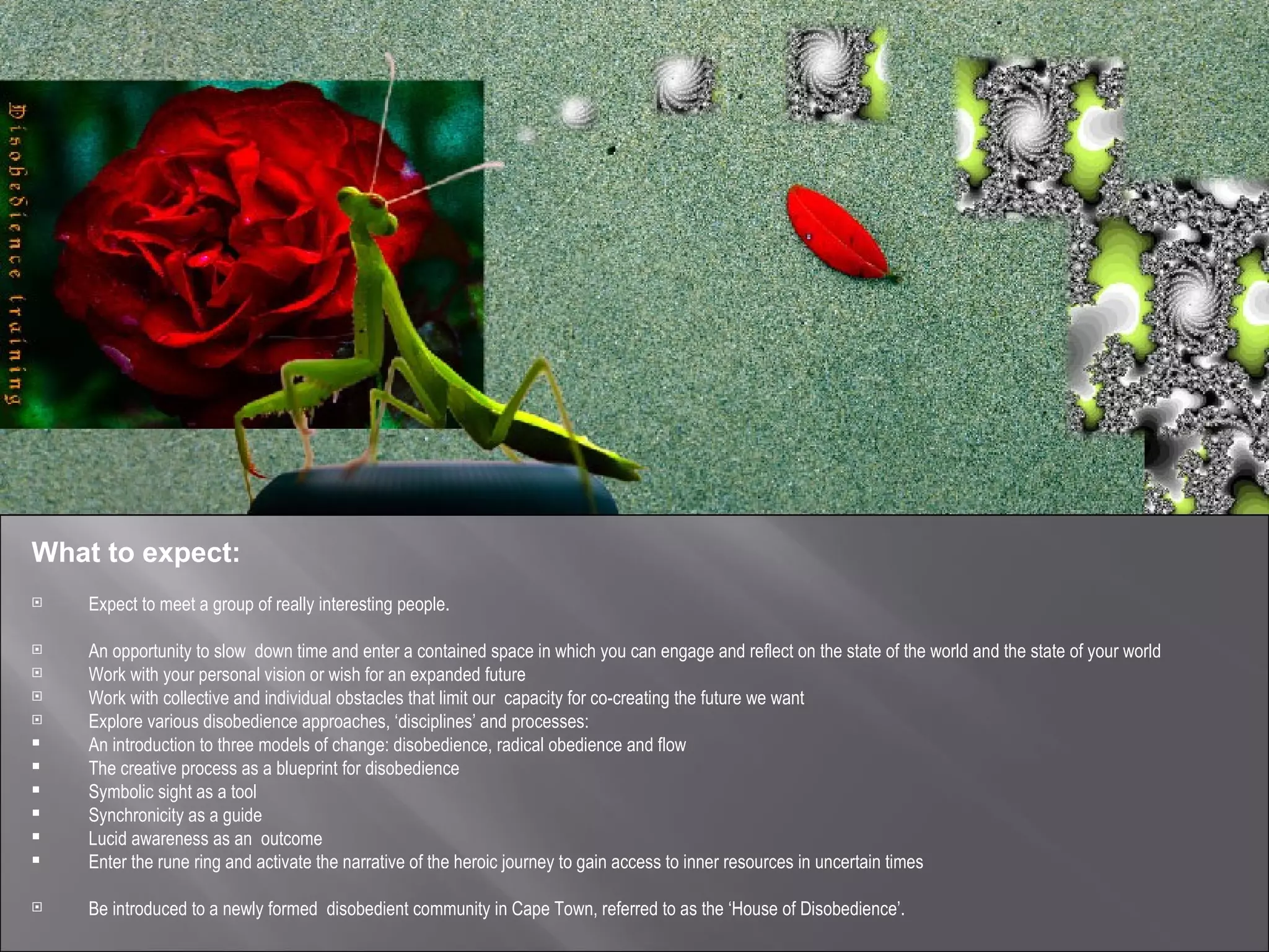 What to expect: Expect to meet a group of really interesting people. An opportunity to slow  down time and enter a contained space in which you can engage and reflect on the state of the world and the state of your world Work with your personal vision or wish for an expanded future Work with collective and individual obstacles that limit our  capacity for co-creating the future we want Explore various disobedience approaches, ‘disciplines’ and processes: An introduction to three models of change: disobedience, radical obedience and flow  The creative process as a blueprint for disobedience Symbolic sight as a tool Synchronicity as a guide Lucid awareness as an  outcome Enter the rune ring and activate the narrative of the heroic journey to gain access to inner resources in uncertain times  Be introduced to a newly formed  disobedient community in Cape Town, referred to as the ‘House of Disobedience’. 