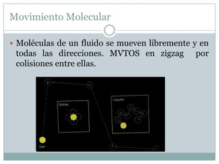 Movimiento Molecular

 Moléculas de un fluido se mueven libremente y en
 todas las direcciones. MVTOS en zigzag       por
 colisiones entre ellas.
 