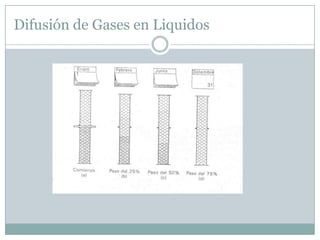 Difusión de Gases en Liquidos
 