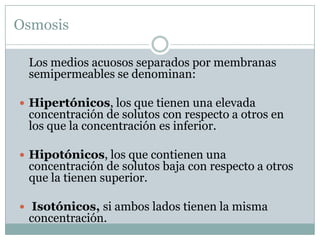 Osmosis

 Los medios acuosos separados por membranas
 semipermeables se denominan:

 Hipertónicos, los que tienen una elevada
 concentración de solutos con respecto a otros en
 los que la concentración es inferior.

 Hipotónicos, los que contienen una
 concentración de solutos baja con respecto a otros
 que la tienen superior.

 Isotónicos, si ambos lados tienen la misma
 concentración.
 