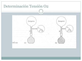 Determinación Tensión O2
 