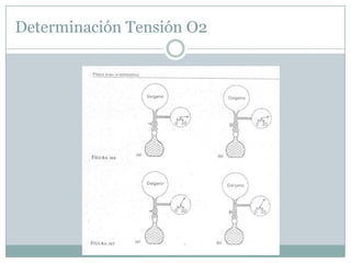 Determinación Tensión O2
 