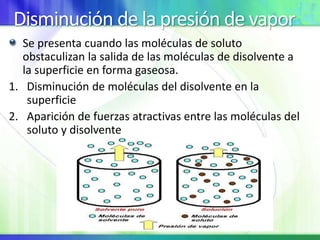Disminución de la presión de vapor
Se presenta cuando las moléculas de soluto
obstaculizan la salida de las moléculas de disolvente a
la superficie en forma gaseosa.
1. Disminución de moléculas del disolvente en la
superficie
2. Aparición de fuerzas atractivas entre las moléculas del
soluto y disolvente
 