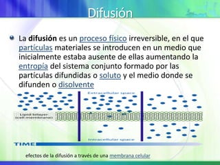 Difusión
La difusión es un proceso físico irreversible, en el que
partículas materiales se introducen en un medio que
inicialmente estaba ausente de ellas aumentando la
entropía del sistema conjunto formado por las
partículas difundidas o soluto y el medio donde se
difunden o disolvente
efectos de la difusión a través de una membrana celular
 