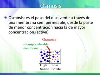 Osmosis
Osmosis: es el paso del disolvente a través de
una membrana semipermeable, desde la parte
de menor concentración hacia la de mayor
concentración.(activa)
 