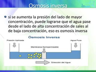 Osmosis inversa
si se aumenta la presión del lado de mayor
concentración, puede lograrse que el agua pase
desde el lado de alta concentración de sales al
de baja concentración, eso es osmosis inversa
 