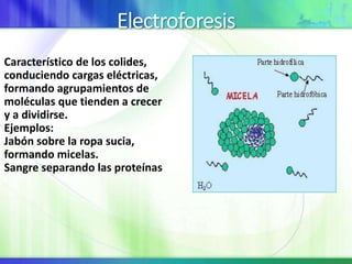 Electroforesis
Característico de los colides,
conduciendo cargas eléctricas,
formando agrupamientos de
moléculas que tienden a crecer
y a dividirse.
Ejemplos:
Jabón sobre la ropa sucia,
formando micelas.
Sangre separando las proteínas
 
