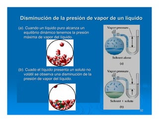 Disminución de la presión de vapor de un líquido
(a). Cuando un líquido puro alcanza un
    equilibrio dinámico tenemos la presión
    máxima de vapor del líquido.




(b). Cuado el líquido presenta un soluto no
    volátil se observa una disminución de la
    presión de vapor del líquido.




                                               32
 