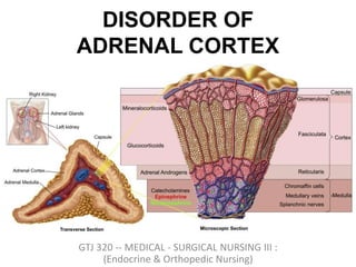 DISORDER OF
ADRENAL CORTEX
GTJ 320 -- MEDICAL - SURGICAL NURSING III :
(Endocrine & Orthopedic Nursing)
 