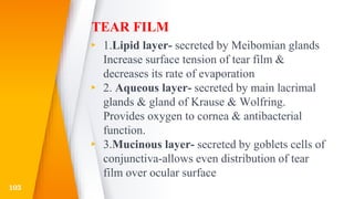 TEAR FILM
▸ 1.Lipid layer- secreted by Meibomian glands
Increase surface tension of tear film &
decreases its rate of evaporation
▸ 2. Aqueous layer- secreted by main lacrimal
glands & gland of Krause & Wolfring.
Provides oxygen to cornea & antibacterial
function.
▸ 3.Mucinous layer- secreted by goblets cells of
conjunctiva-allows even distribution of tear
film over ocular surface
103
 