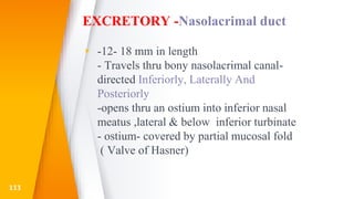EXCRETORY -Nasolacrimal duct
▸ -12- 18 mm in length
- Travels thru bony nasolacrimal canal-
directed Inferiorly, Laterally And
Posteriorly
-opens thru an ostium into inferior nasal
meatus ,lateral & below inferior turbinate
- ostium- covered by partial mucosal fold
( Valve of Hasner)
111
 