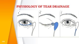 PHYSIOLOGY OF TEAR DRAINAGE
144
 
