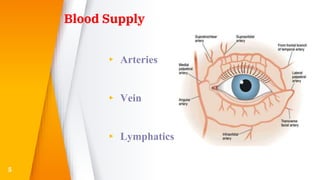 Blood Supply
▸ Arteries
▸ Vein
▸ Lymphatics
5
 