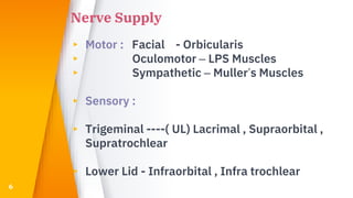 Nerve Supply
▸ Motor : Facial - Orbicularis
▸ Oculomotor – LPS Muscles
▸ Sympathetic – Muller’s Muscles
▸ Sensory :
▸ Trigeminal ----( UL) Lacrimal , Supraorbital ,
Supratrochlear
▸ Lower Lid - Infraorbital , Infra trochlear
6
 