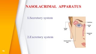 NASOLACRIMAL APPARATUS
1.Secretory system
2.Excretory system
96
 