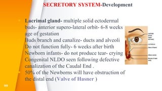 SECRETORY SYSTEM-Development
 Lacrimal gland- multiple solid ectodermal
buds- anterior supero-lateral orbit- 6-8 weeks
age of gestation
 Buds branch and canalize- ducts and alveoli
 Do not function fully- 6 weeks after birth
 Newborn infants- do not produce tear- crying
 Congenital NLDO seen following defective
canalization of the Caudal End .
 50% of the Newborns will have obstruction of
the distal end (Valve of Hasner )
99
 