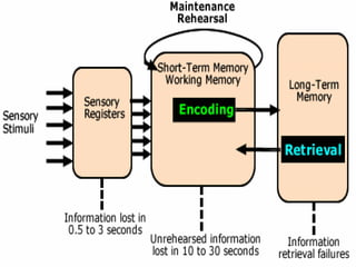Disorder of memory and it's management .pptx