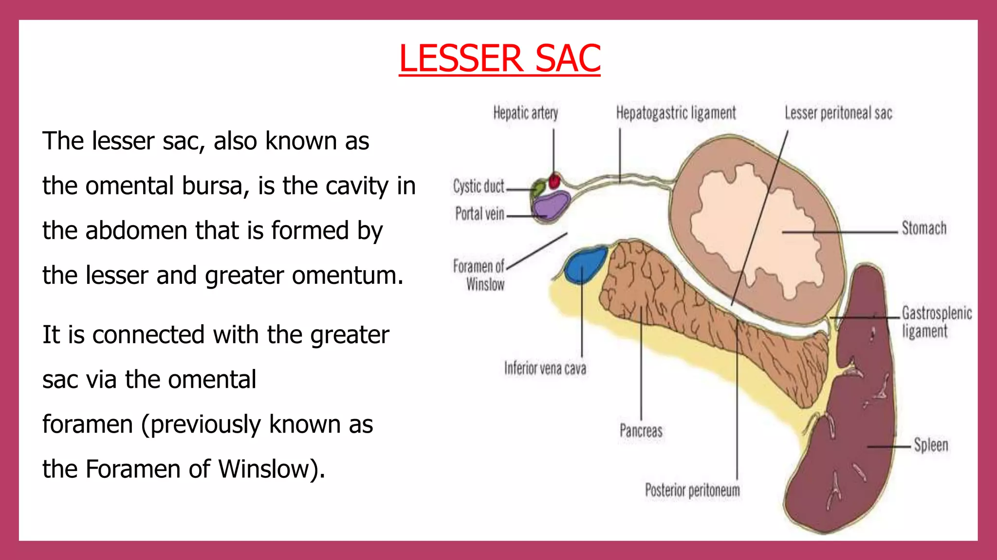 Lesser Sac Collection Disorder of peritonum | PPTX