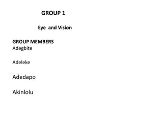 GROUP 1
Eye and Vision
GROUP MEMBERS
Adegbite
Adeleke
Adedapo
Akinlolu
 