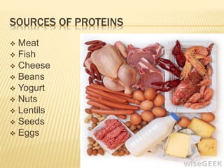 SOURCES OF PROTEINS
 Meat
 Fish
 Cheese
 Beans
 Yogurt
 Nuts
 Lentils
 Seeds
 Eggs
 
