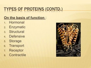 TYPES OF PROTEINS (CONTD.)
On the basis of function :
1. Hormonal
2. Enzymatic
3. Structural
4. Defensive
5. Storage
6. Transport
7. Receptor
8. Contractile
 