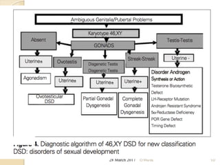 Disorders of Sex Development- O Warda | PDF