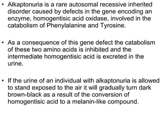 • Alkaptonuria is a rare autosomal recessive inherited
disorder caused by defects in the gene encoding an
enzyme, homogentisic acid oxidase, involved in the
catabolism of Phenylalanine and Tyrosine.
• As a consequence of this gene defect the catabolism
of these two amino acids is inhibited and the
intermediate homogentisic acid is excreted in the
urine.
• If the urine of an individual with alkaptonuria is allowed
to stand exposed to the air it will gradually turn dark
brown-black as a result of the conversion of
homogentisic acid to a melanin-like compound.
 