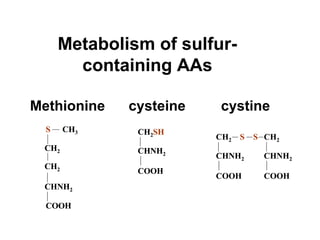 Metabolism of sulfur-
containing AAs
Methionine cysteine cystine
CH2SH
CHNH2
COOH
CH2SH
CHNH2
COOH
CH2
CHNH2
COOH
CH2
CHNH2
COOH
S SCH2
CHNH2
COOH
CH2
CHNH2
COOH
S S
S CH3
CH2
CHNH2
COOH
CH2
S CH3
CH2
CHNH2
COOH
CH2
 